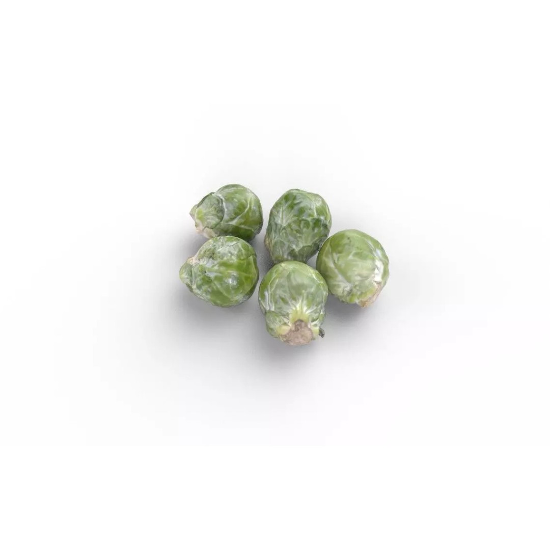 Brussels Sprouts 3D Model – Low Poly Game Asset, FBX, PBR Textures - View 7