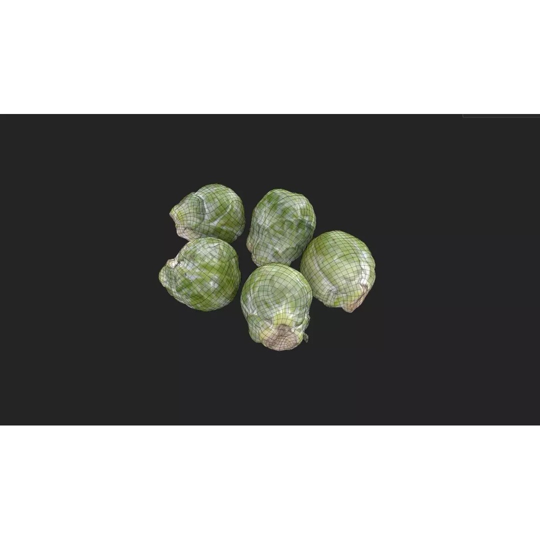 Brussels Sprouts 3D Model – Low Poly Game Asset, FBX, PBR Textures - View 8
