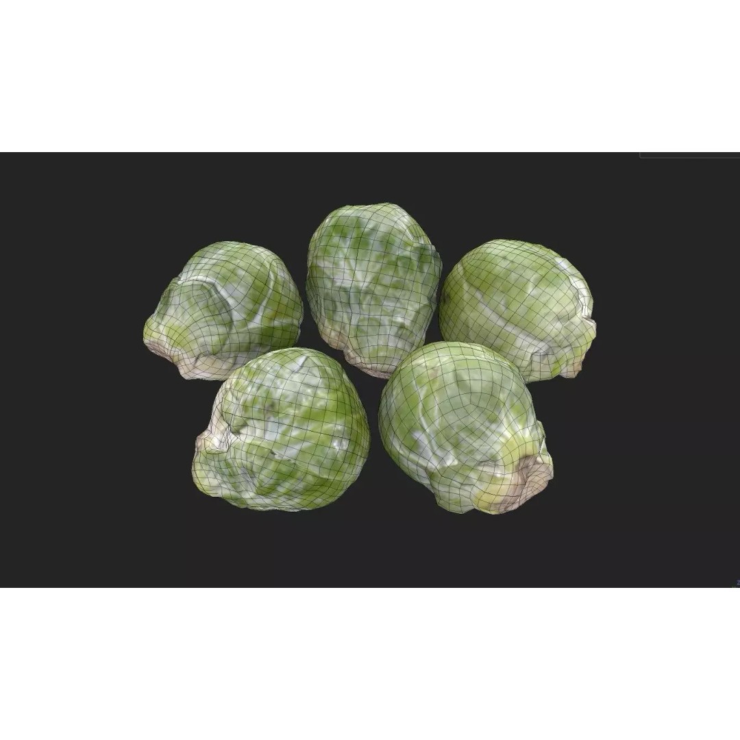 Brussels Sprouts 3D Model – Low Poly Game Asset, FBX, PBR Textures - View 9