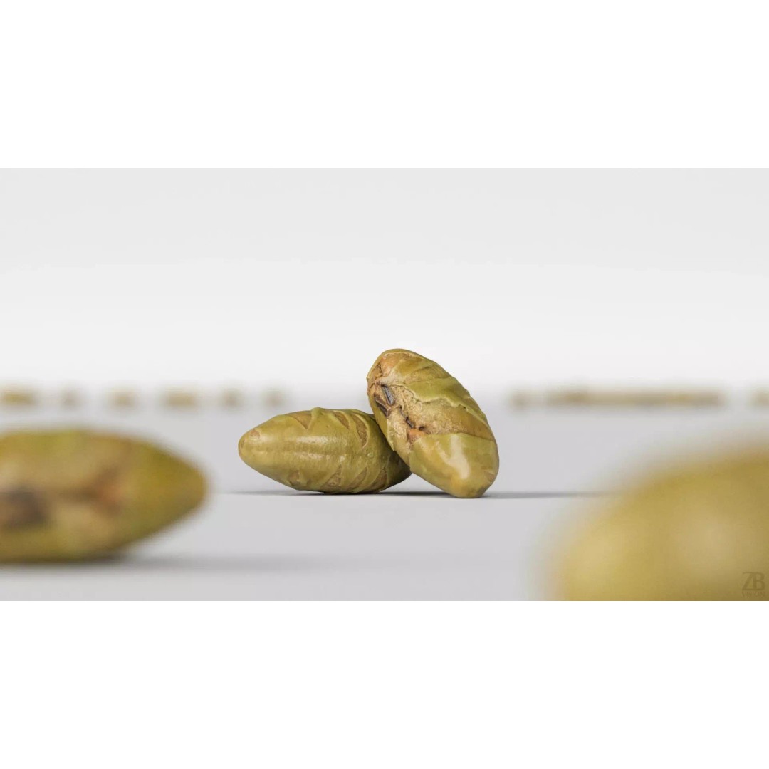 Edamame Bean 3D Model – Photorealistic Vegetable Asset, FBX - View 3