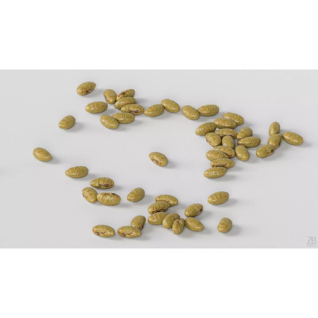 Edamame Bean 3D Model – Photorealistic Vegetable Asset, FBX - View 4