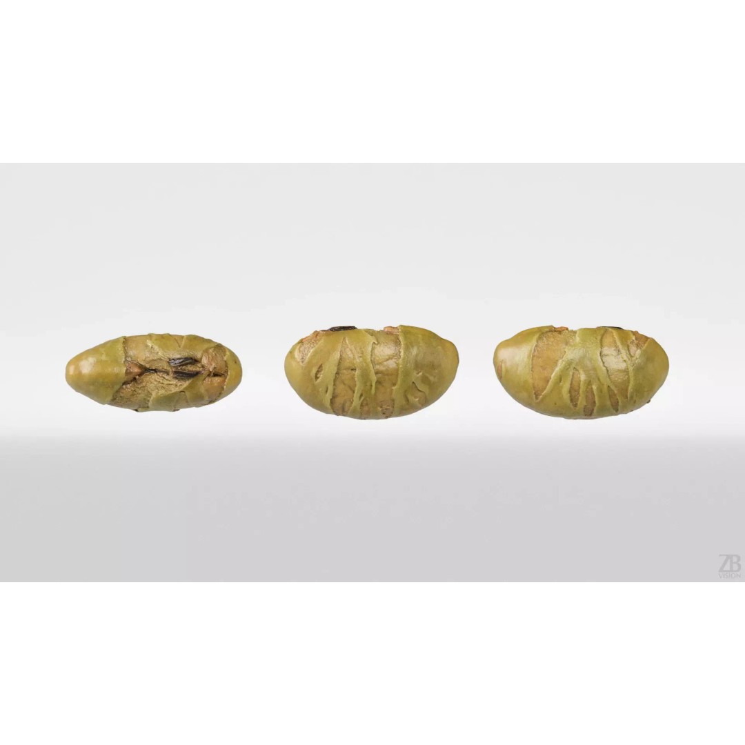 Edamame Bean 3D Model – Photorealistic Vegetable Asset, FBX - View 6