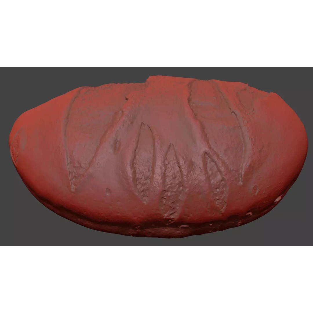 Edamame Bean 3D Model – Photorealistic Vegetable Asset, FBX - View 9