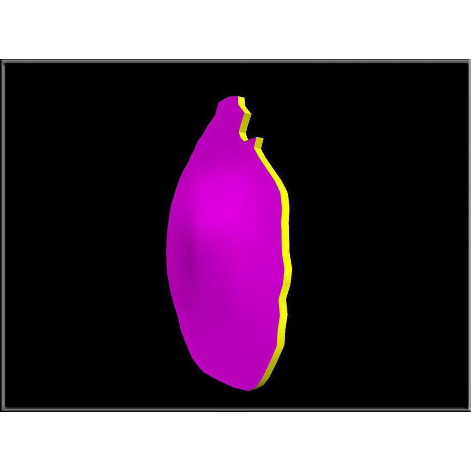 Dried Pear Slice 3D Model – Low Poly Game Asset, OBJ & DAE Formats