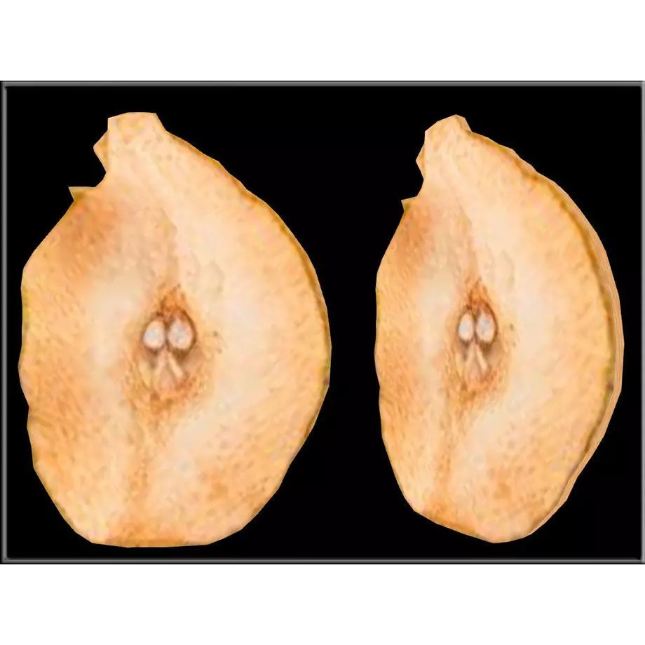 Dried Pear Slice 3D Model – Low Poly Game Asset, OBJ & DAE Formats - View 2