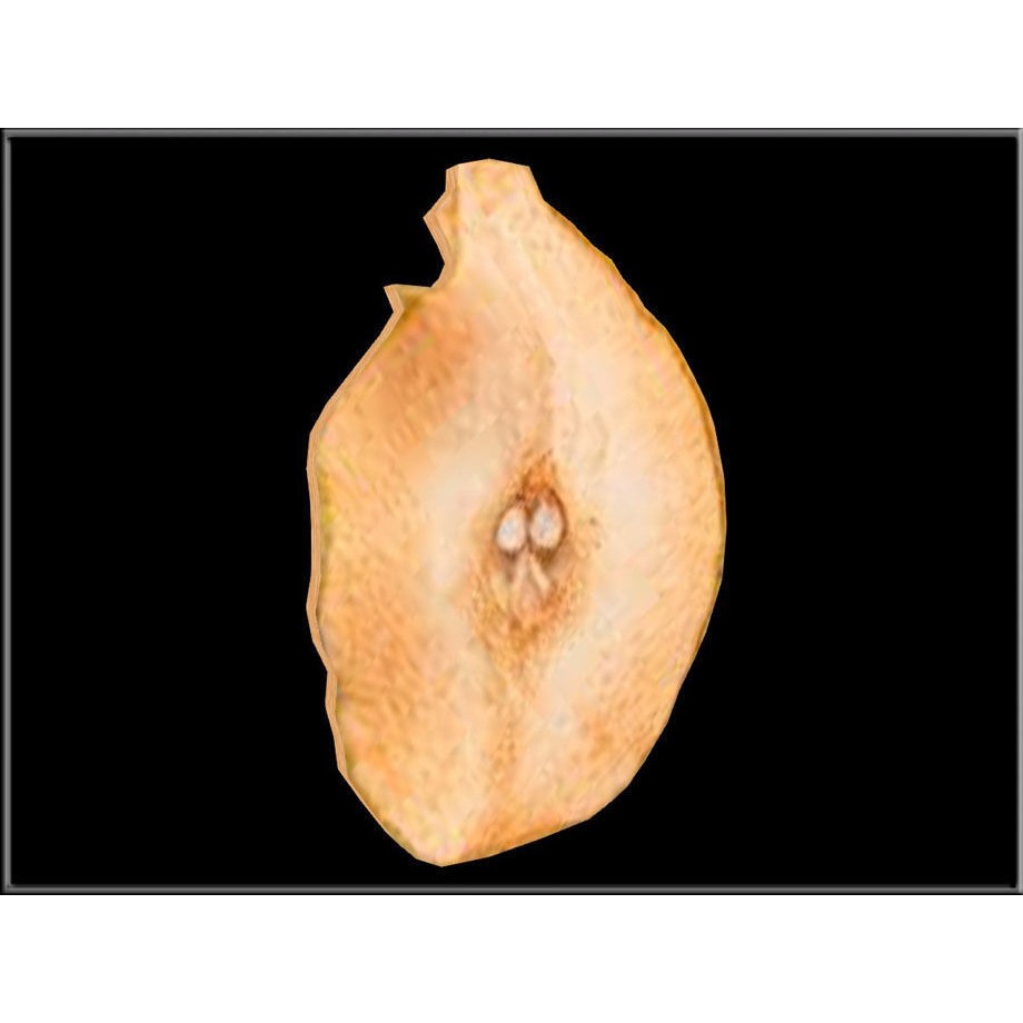 Dried Pear Slice 3D Model – Low Poly Game Asset, OBJ & DAE Formats - View 3