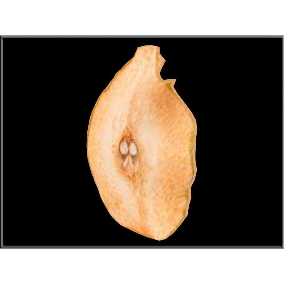 Dried Pear Slice 3D Model – Low Poly Game Asset, OBJ & DAE Formats - View 4
