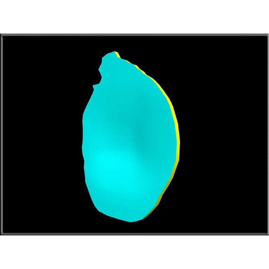 Dried Pear Slice 3D Model – Low Poly Game Asset, OBJ & DAE Formats - View 5
