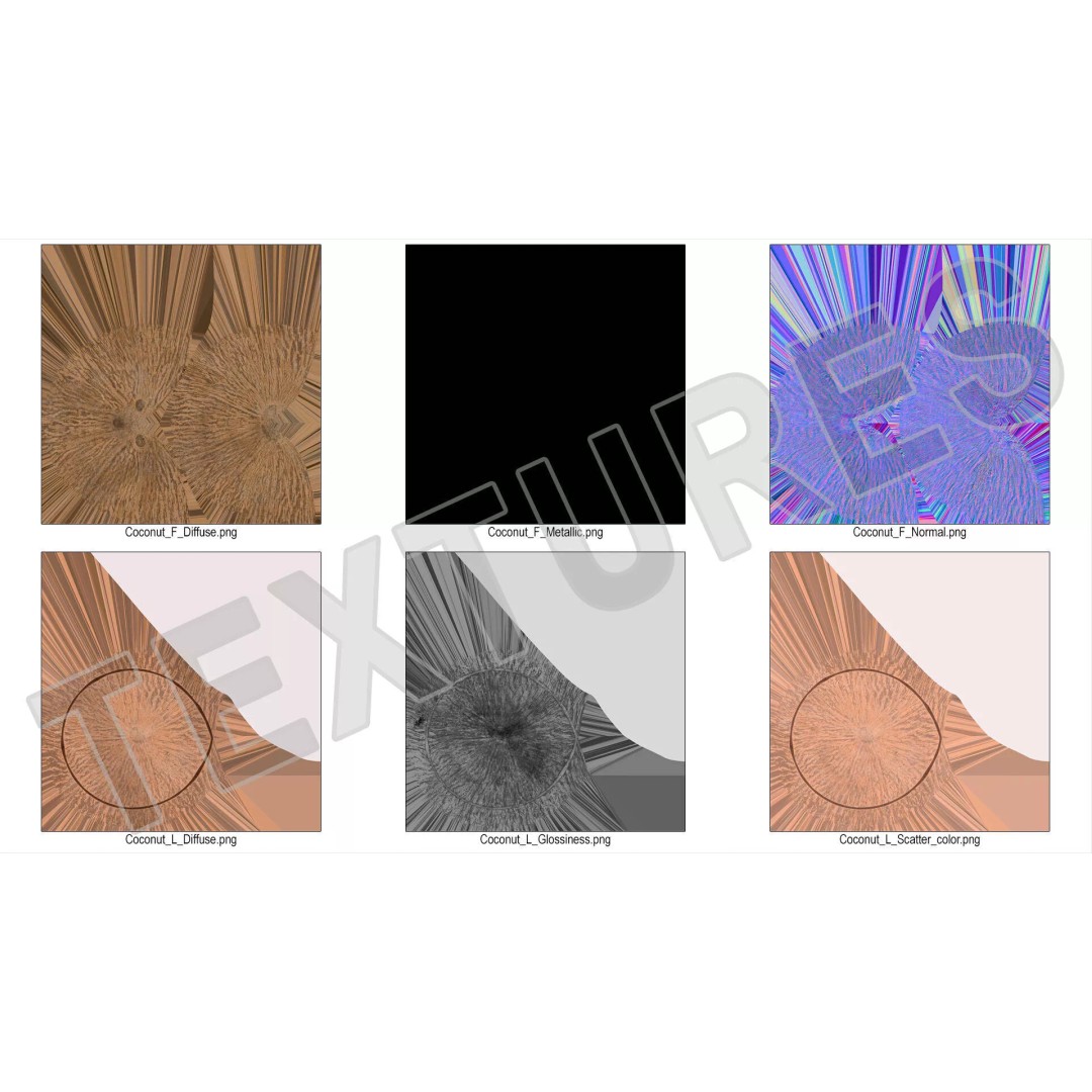 Coconut Half Fur 3D Model – PBR Textured, Game-Ready Asset - View 12