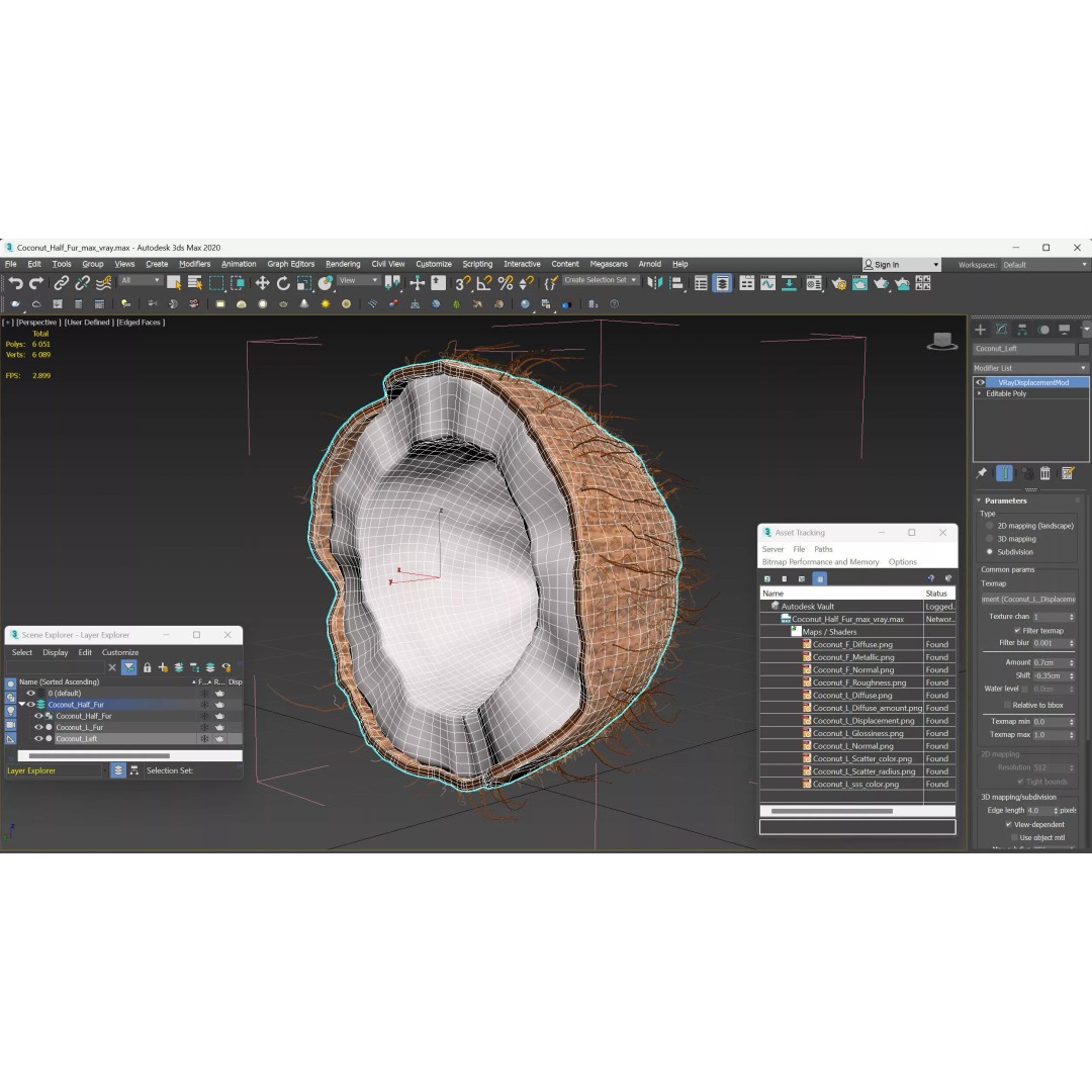 Coconut Half Fur 3D Model – PBR Textured, Game-Ready Asset - View 13