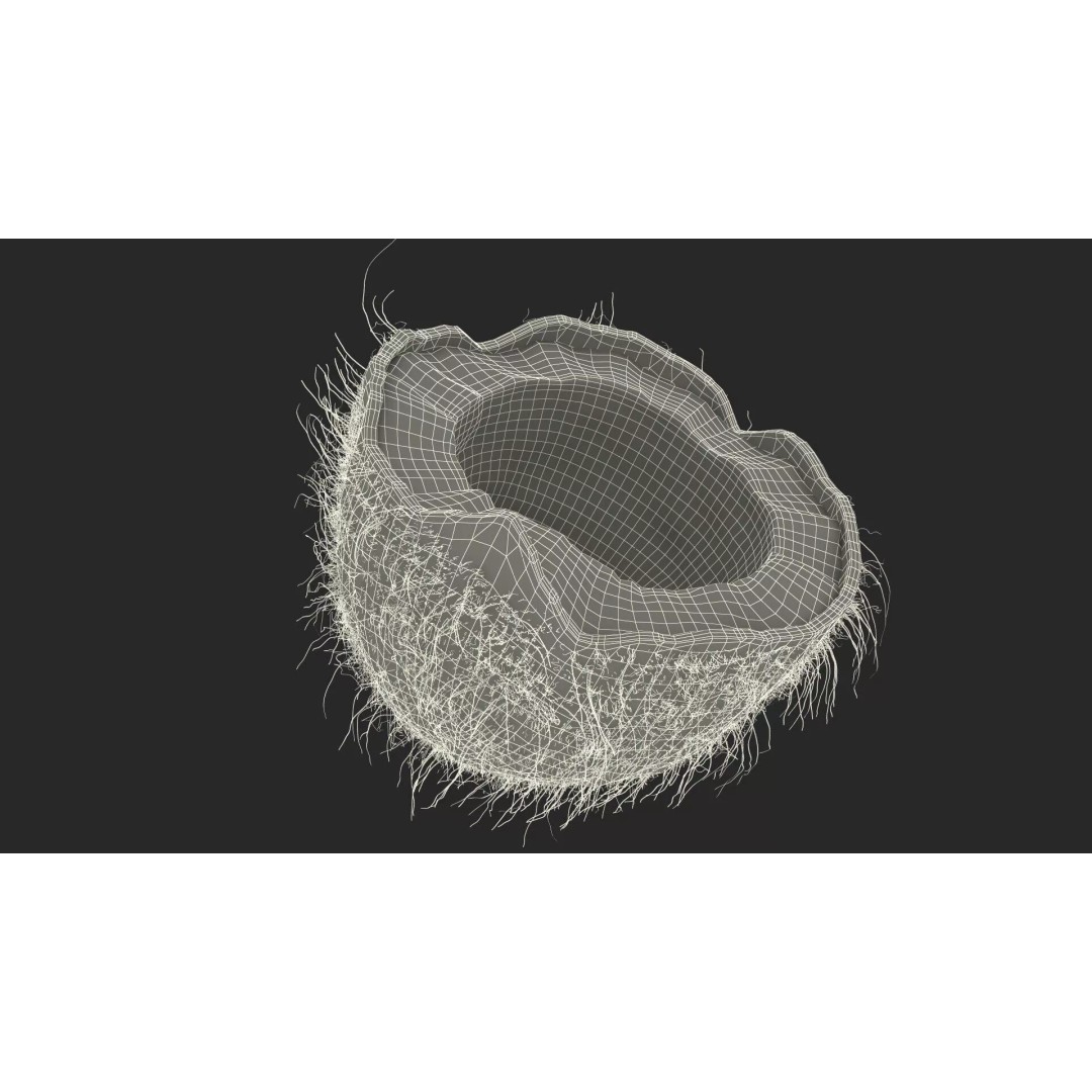 Coconut Half Fur 3D Model – PBR Textured, Game-Ready Asset - View 14