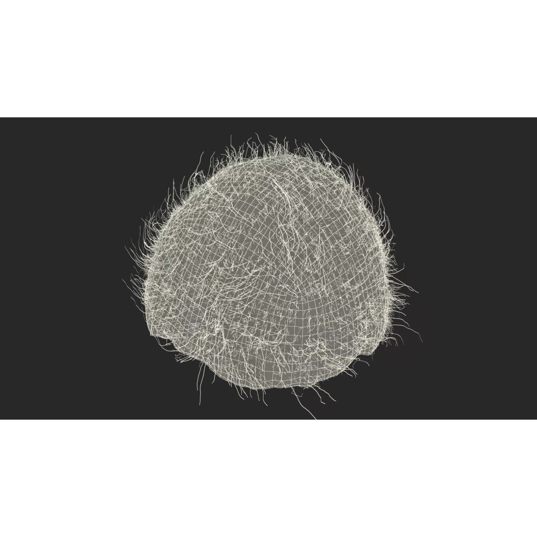 Coconut Half Fur 3D Model – PBR Textured, Game-Ready Asset - View 15