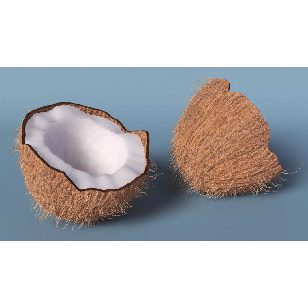 Coconut Half Fur 3D Model – PBR Textured, Game-Ready Asset - View 2