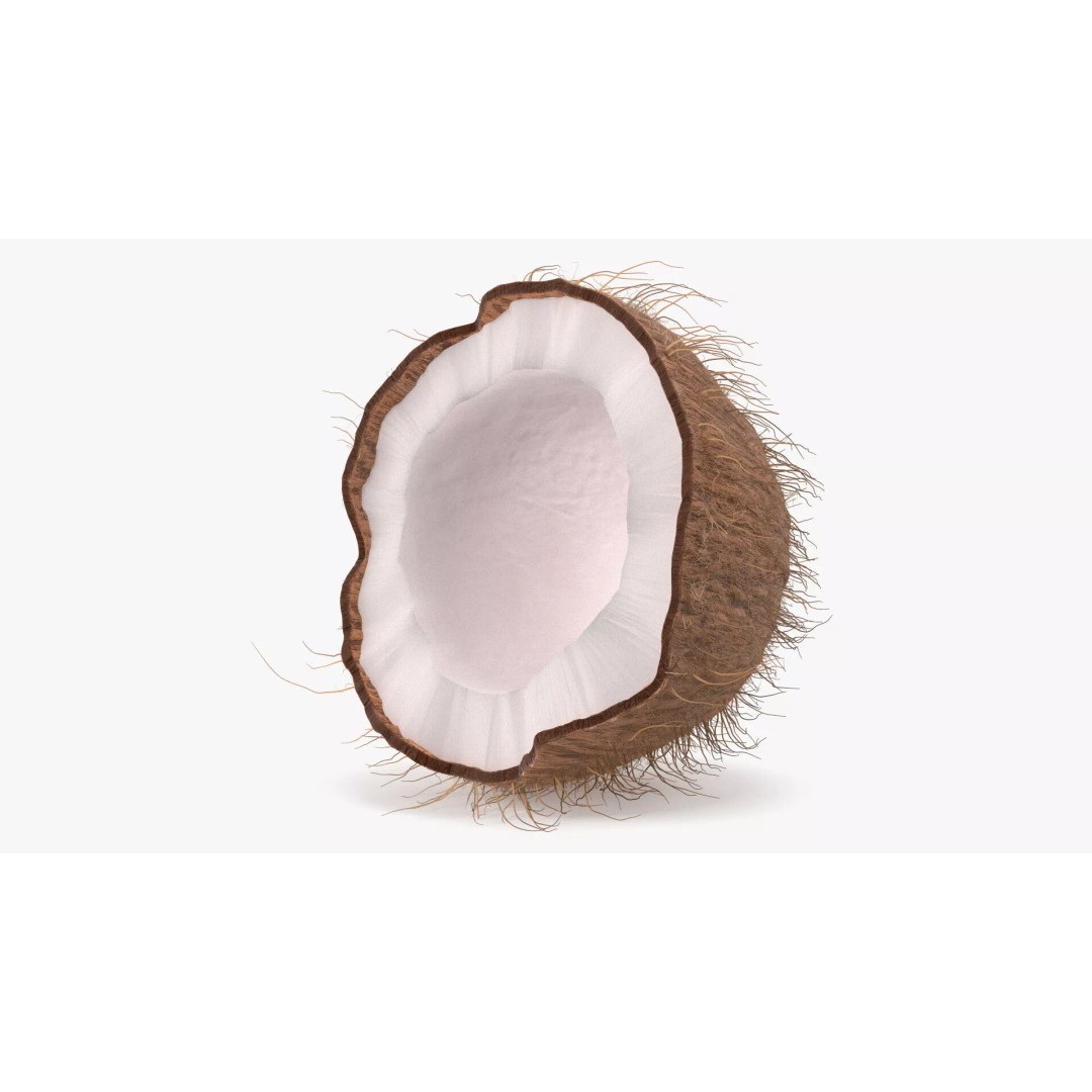 Coconut Half Fur 3D Model – PBR Textured, Game-Ready Asset - View 3