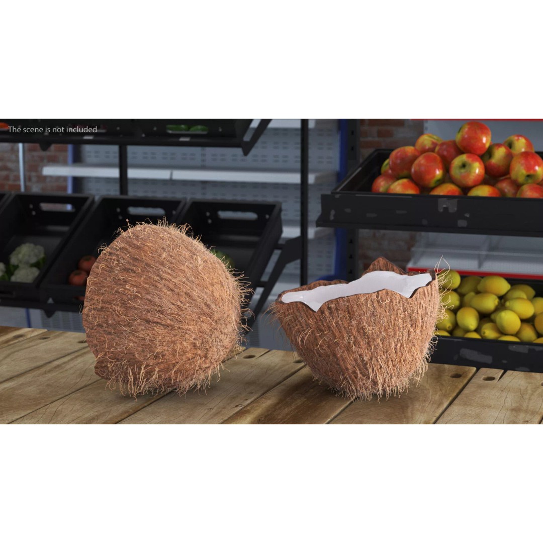 Coconut Half Fur 3D Model – PBR Textured, Game-Ready Asset - View 5