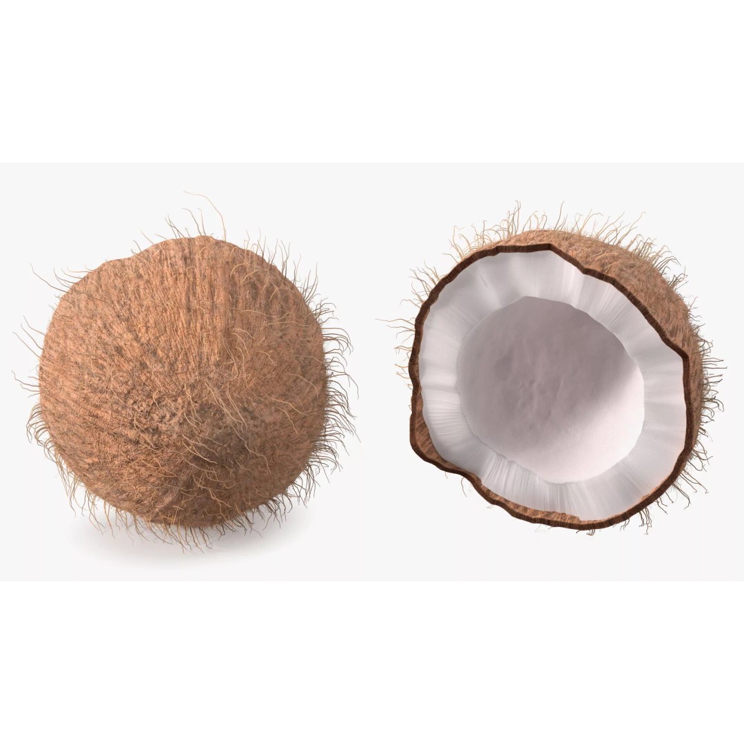 Coconut Half Fur 3D Model – PBR Textured, Game-Ready Asset - View 7
