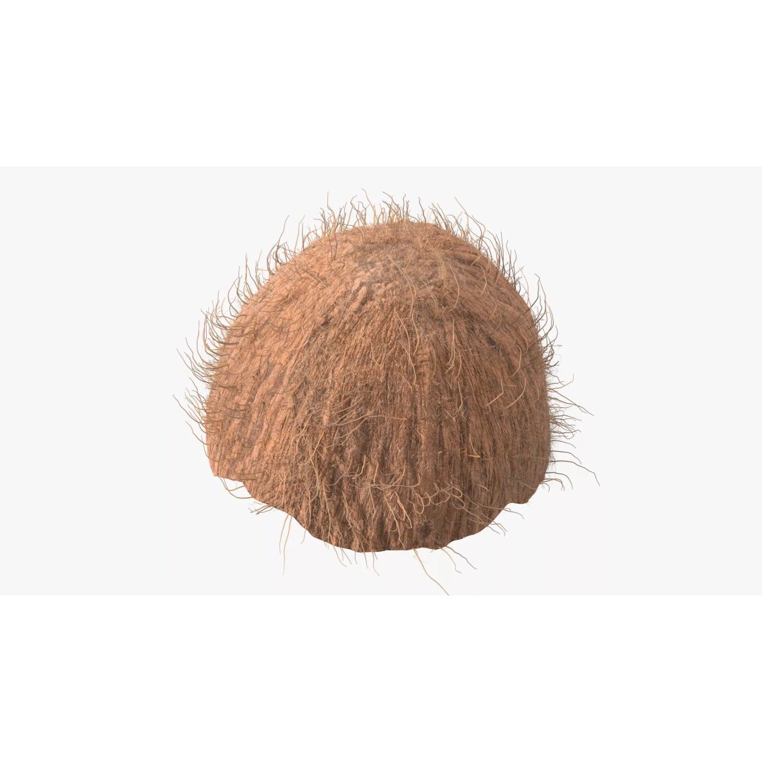 Coconut Half Fur 3D Model – PBR Textured, Game-Ready Asset - View 8