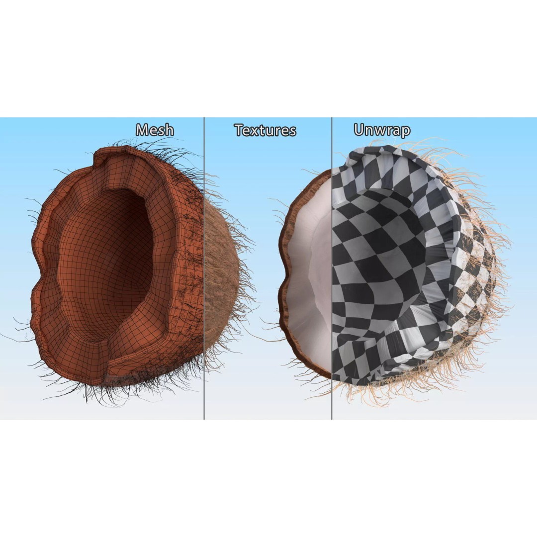 Coconut Half Fur 3D Model – PBR Textured, Game-Ready Asset - View 9