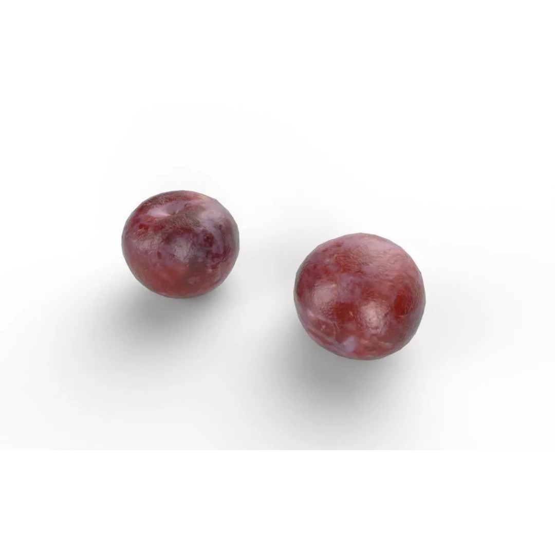 Plum M05 3D Model – Low Poly Game Asset, FBX, PBR Textures - View 5