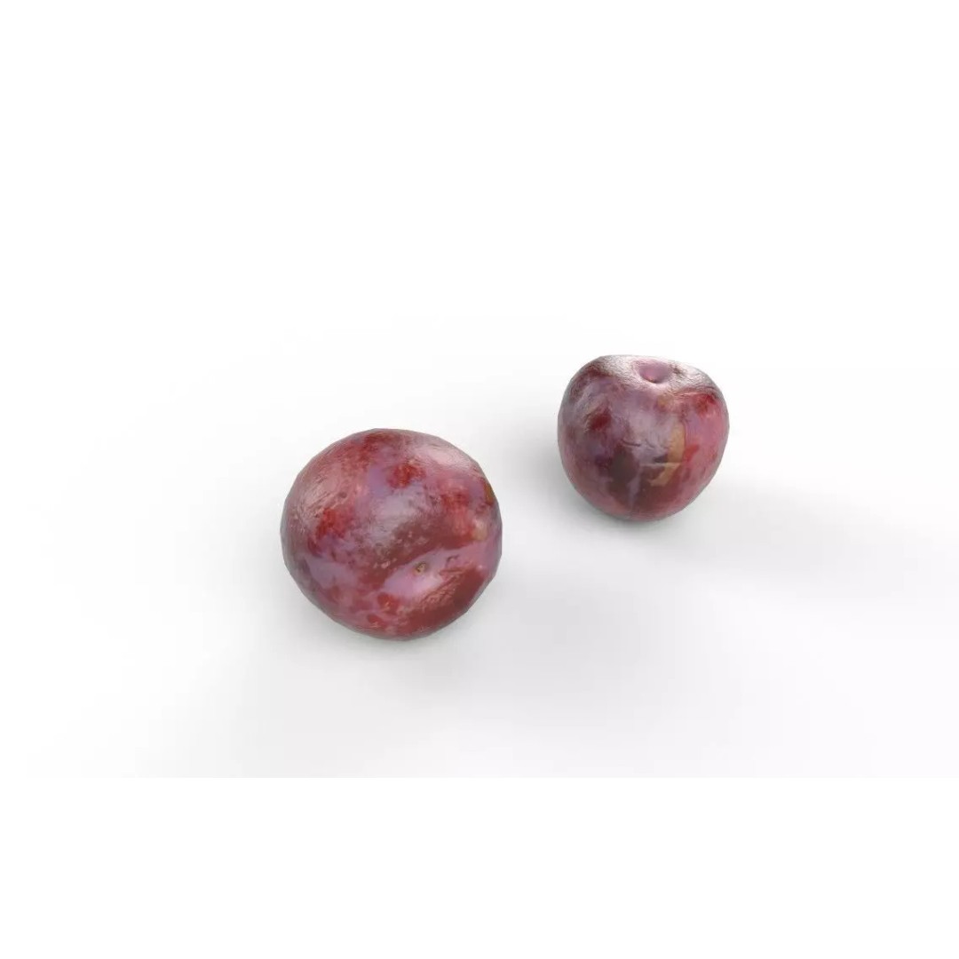 Plum M05 3D Model – Low Poly Game Asset, FBX, PBR Textures - View 6