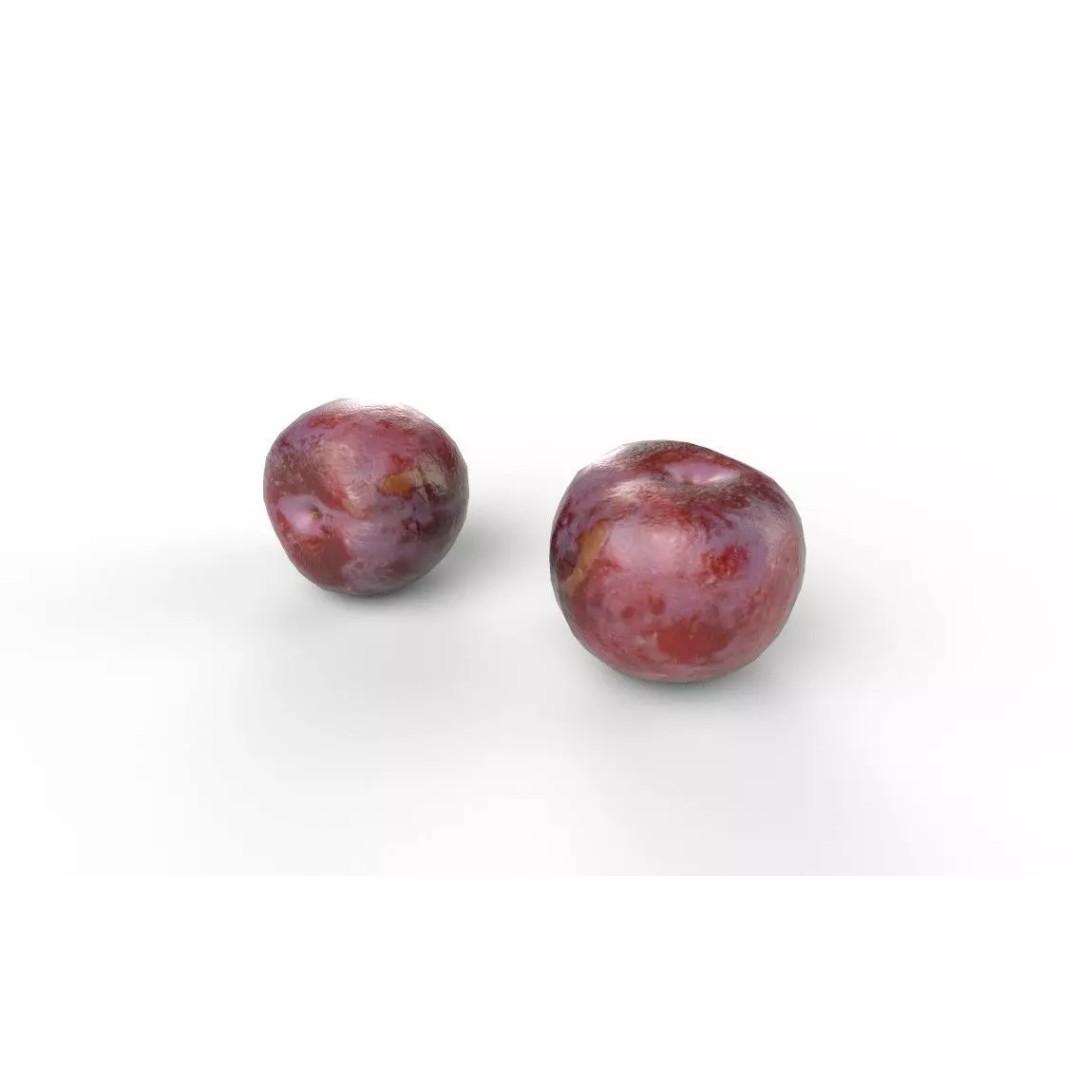 Plum M05 3D Model – Low Poly Game Asset, FBX, PBR Textures - View 7