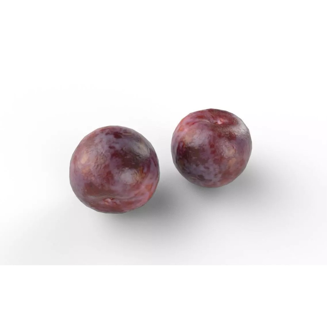 Plum M01 3D Model – Low Poly Game Asset, FBX, PBR Textures - View 6