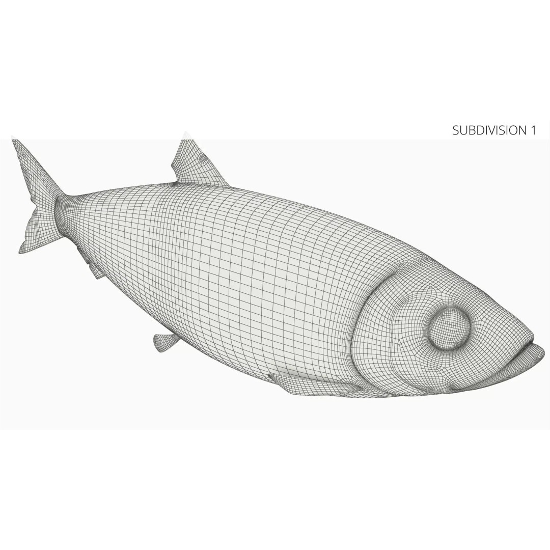 Atlantic Herring Whole Fish 3D Model – High Quality PBR Textured Asset - View 10
