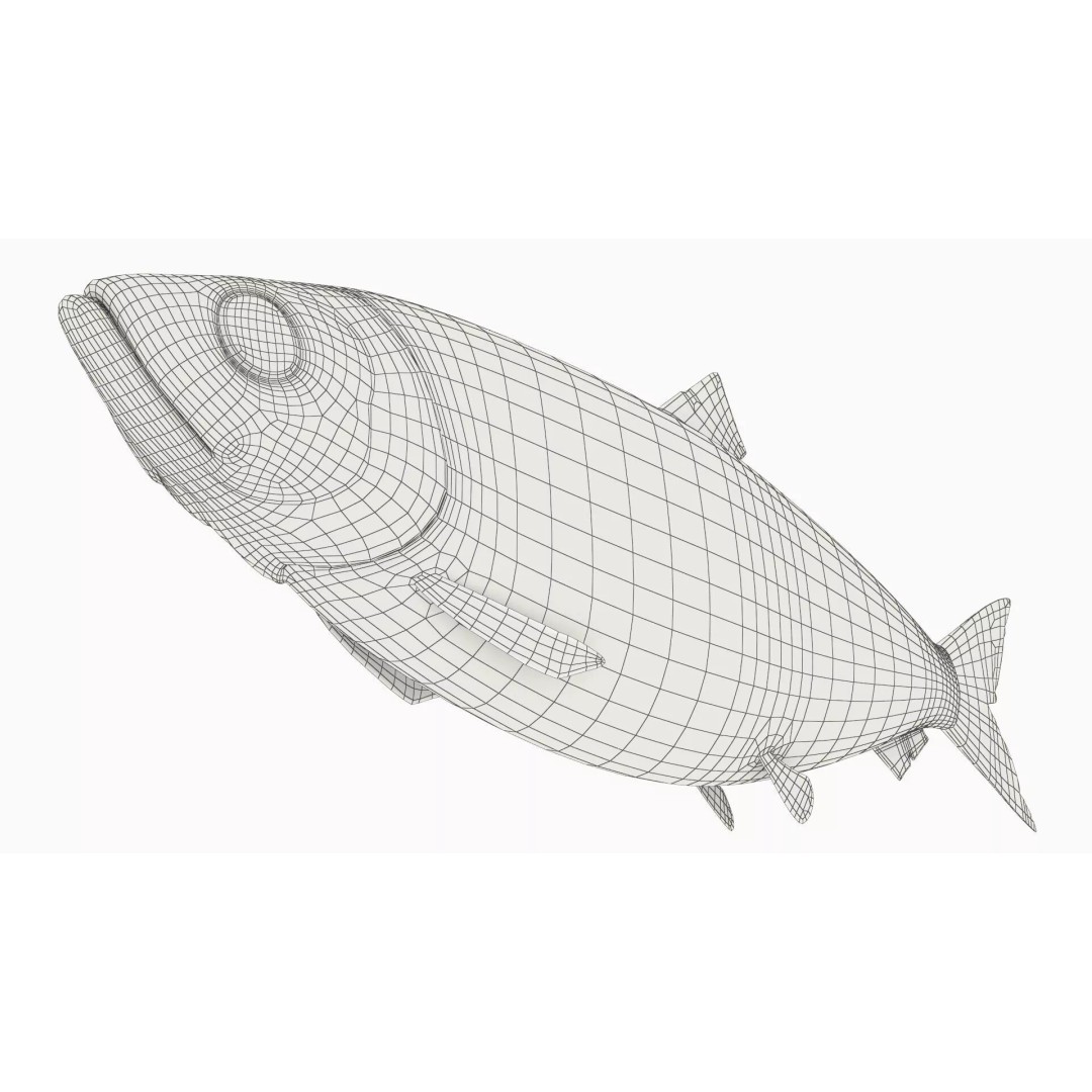 Atlantic Herring Whole Fish 3D Model – High Quality PBR Textured Asset - View 11