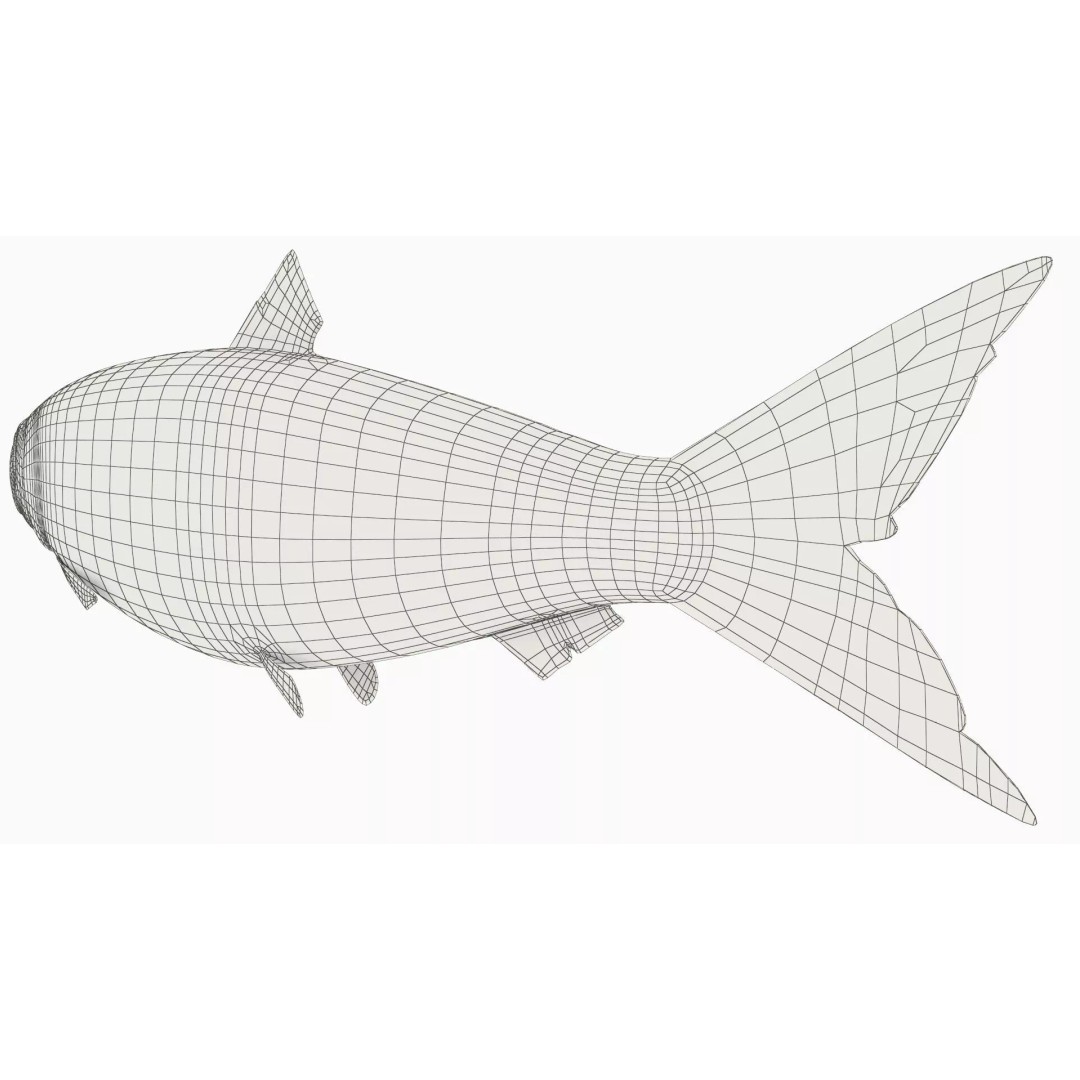 Atlantic Herring Whole Fish 3D Model – High Quality PBR Textured Asset - View 12