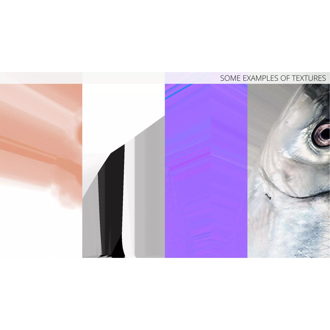 Atlantic Herring Whole Fish 3D Model – High Quality PBR Textured Asset - View 14