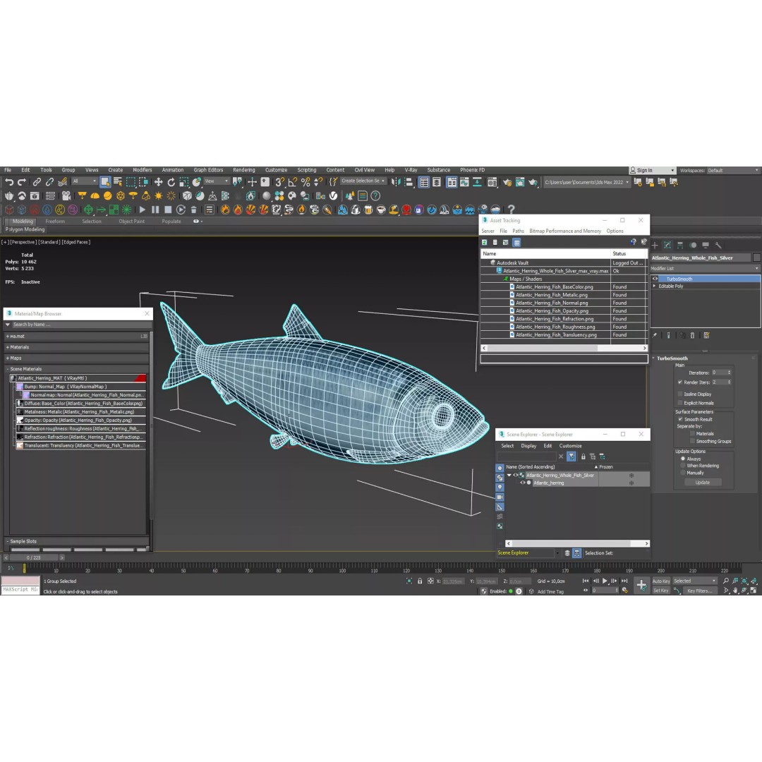 Atlantic Herring Whole Fish 3D Model – High Quality PBR Textured Asset - View 15