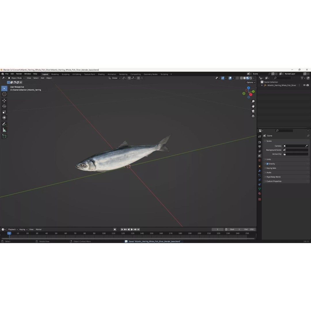 Atlantic Herring Whole Fish 3D Model – High Quality PBR Textured Asset - View 16