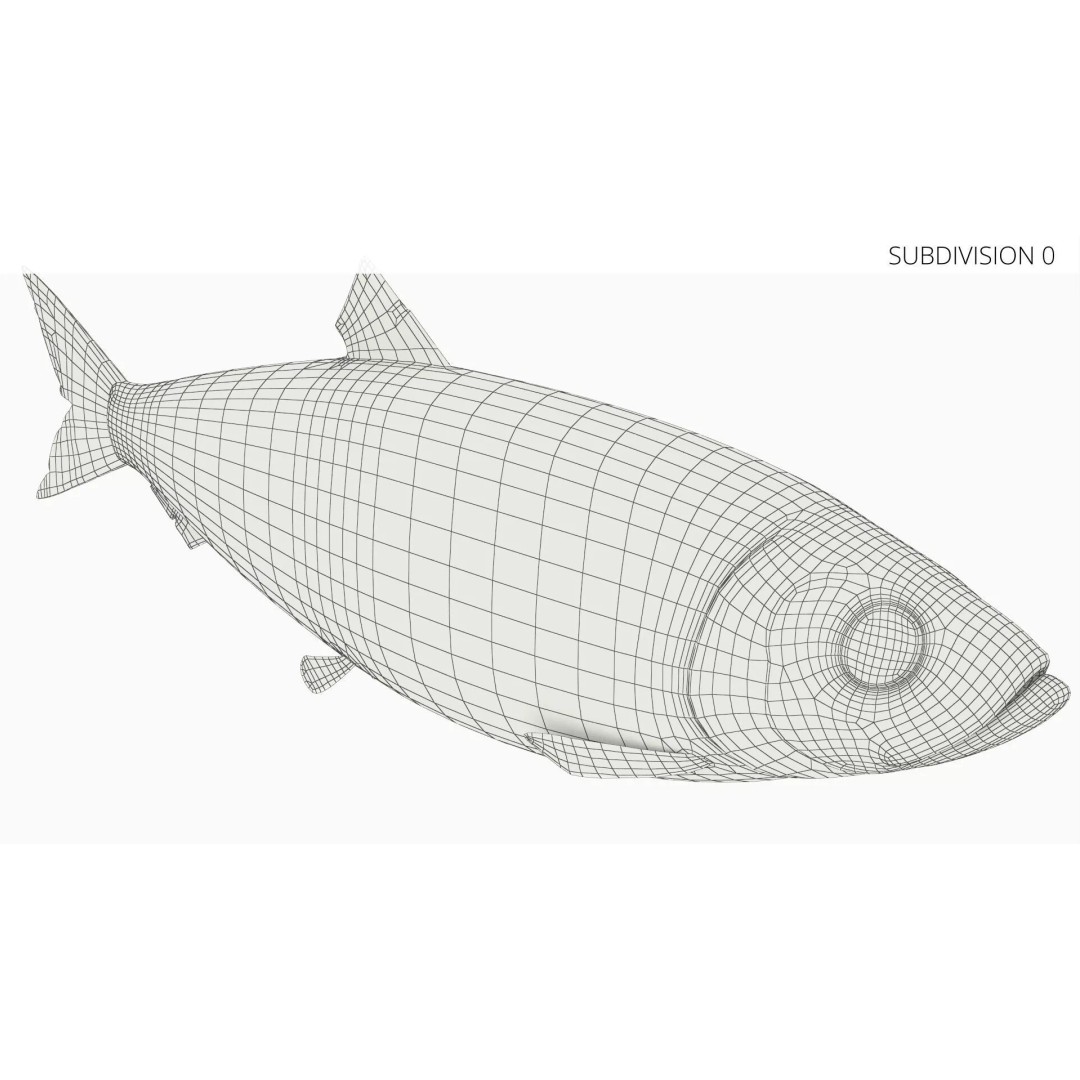 Atlantic Herring Whole Fish 3D Model – High Quality PBR Textured Asset - View 9