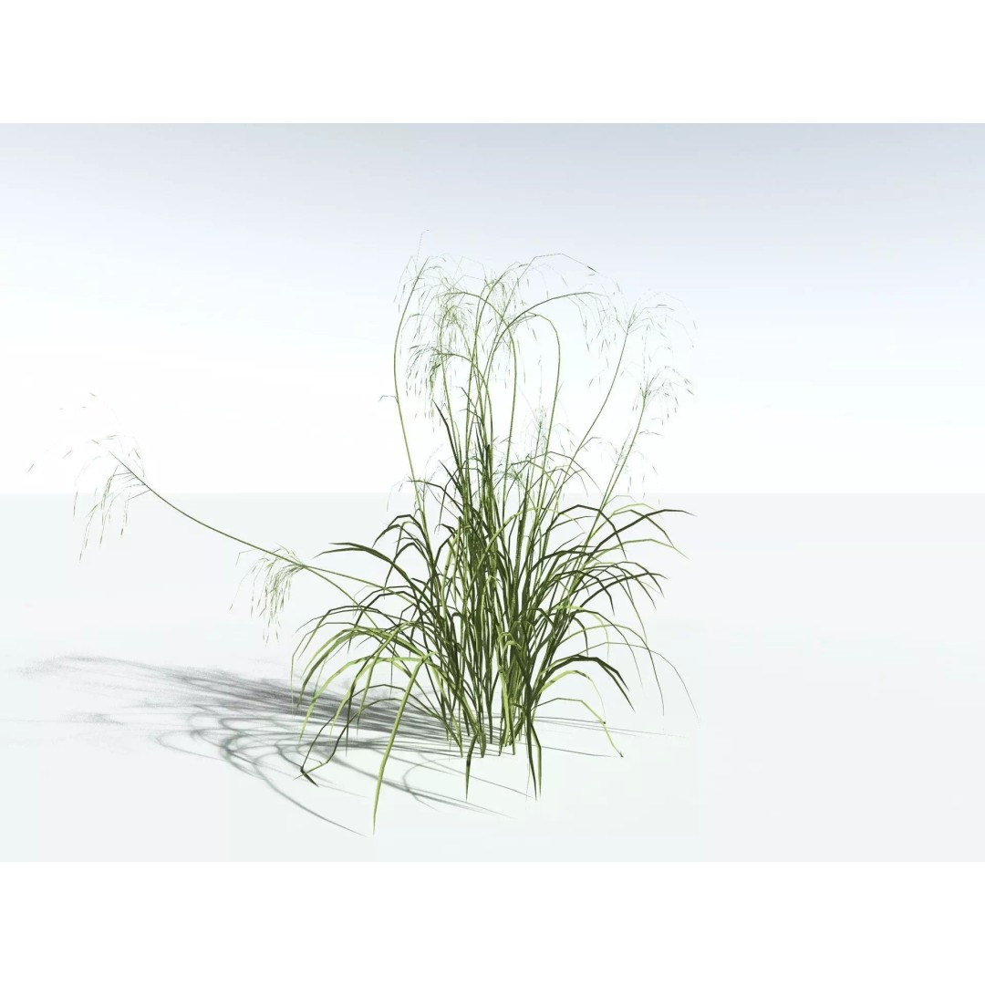 Downy Brome 3D Model – Low Poly Grass Asset, FBX & PBR Textures - View 12