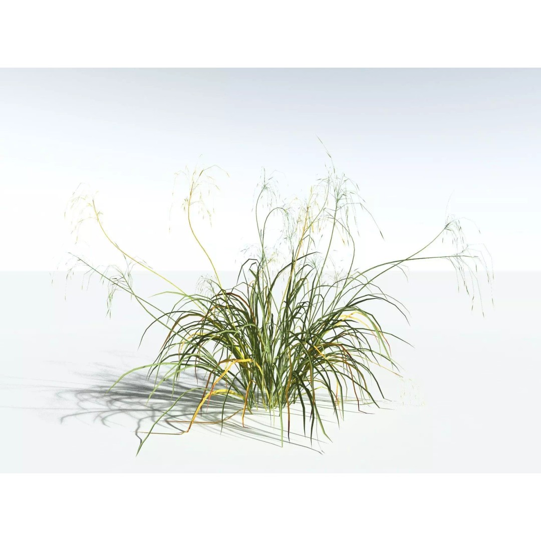Downy Brome 3D Model – Low Poly Grass Asset, FBX & PBR Textures - View 14