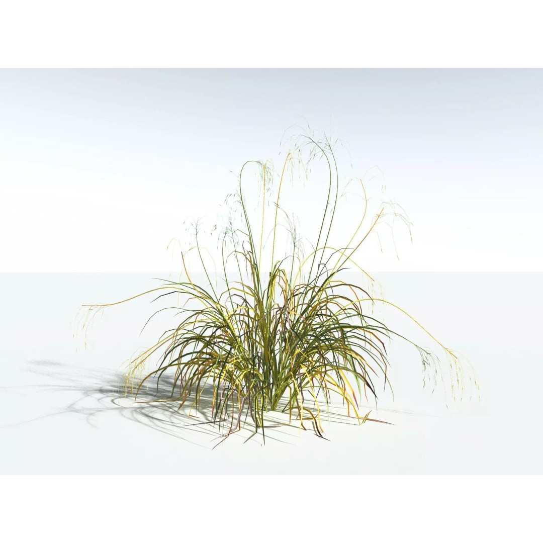 Downy Brome 3D Model – Low Poly Grass Asset, FBX & PBR Textures - View 16