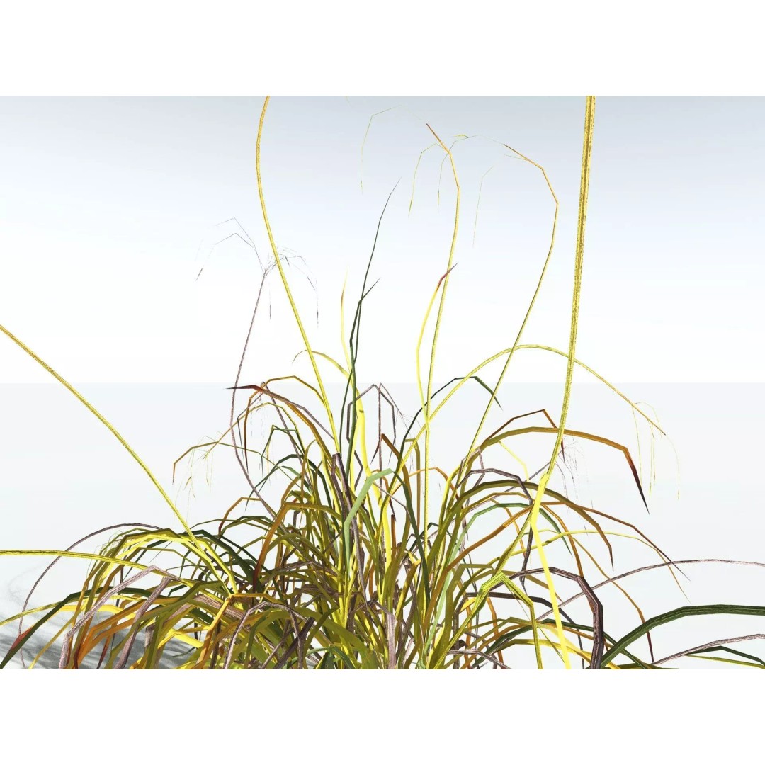 Downy Brome 3D Model – Low Poly Grass Asset, FBX & PBR Textures - View 19