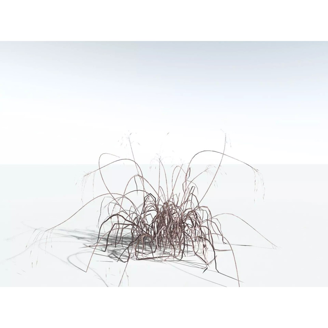 Downy Brome 3D Model – Low Poly Grass Asset, FBX & PBR Textures - View 20