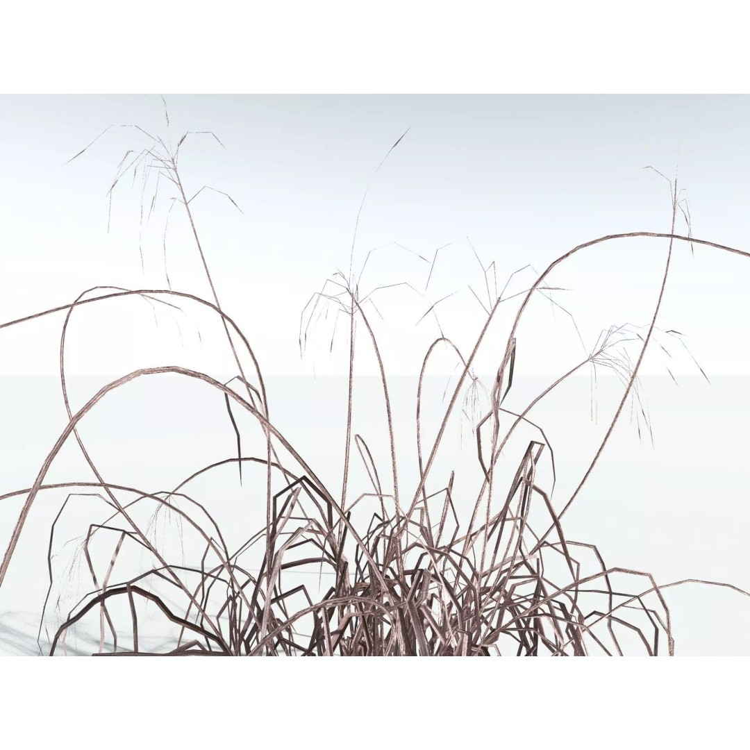 Downy Brome 3D Model – Low Poly Grass Asset, FBX & PBR Textures - View 21