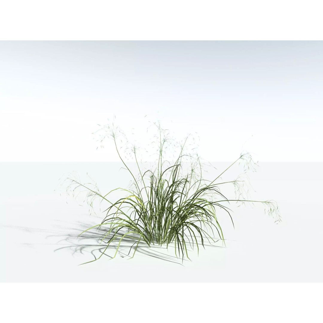 Downy Brome 3D Model – Low Poly Grass Asset, FBX & PBR Textures - View 24