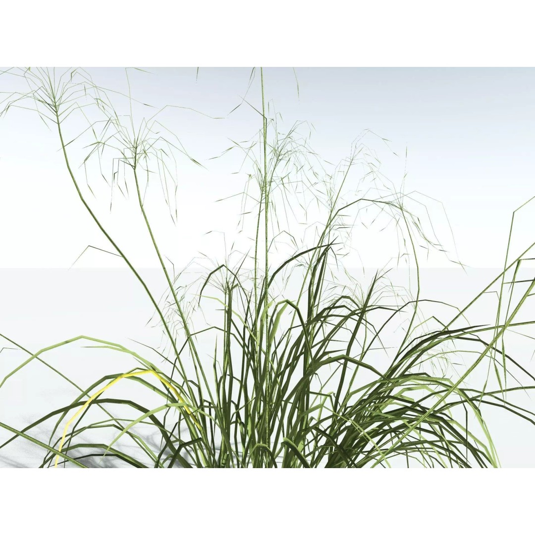 Downy Brome 3D Model – Low Poly Grass Asset, FBX & PBR Textures - View 25