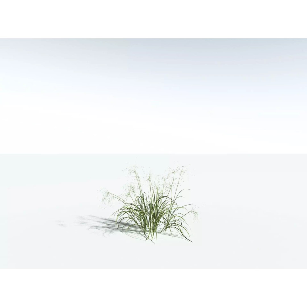 Downy Brome 3D Model – Low Poly Grass Asset, FBX & PBR Textures - View 26