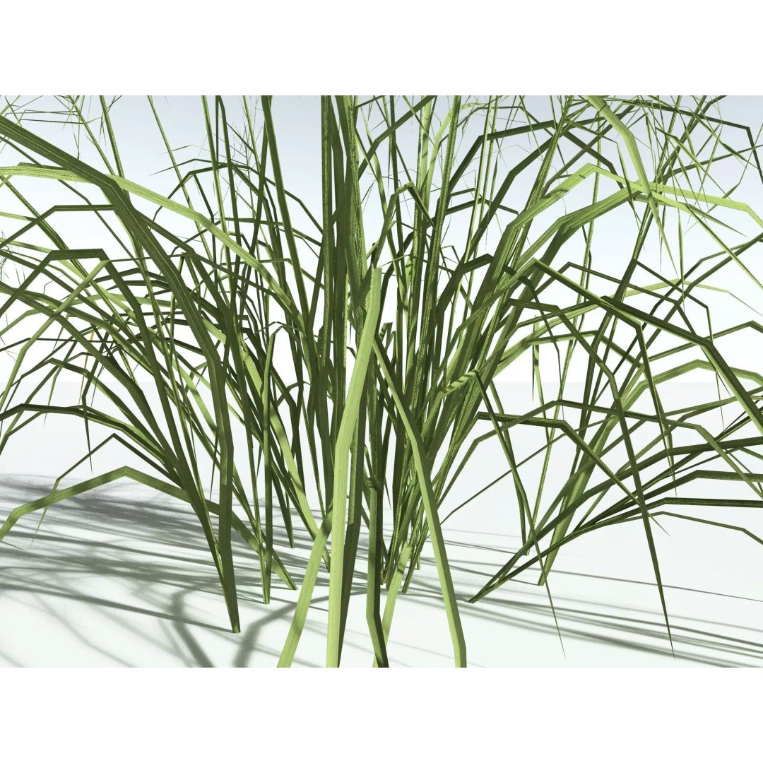 Downy Brome 3D Model – Low Poly Grass Asset, FBX & PBR Textures - View 27