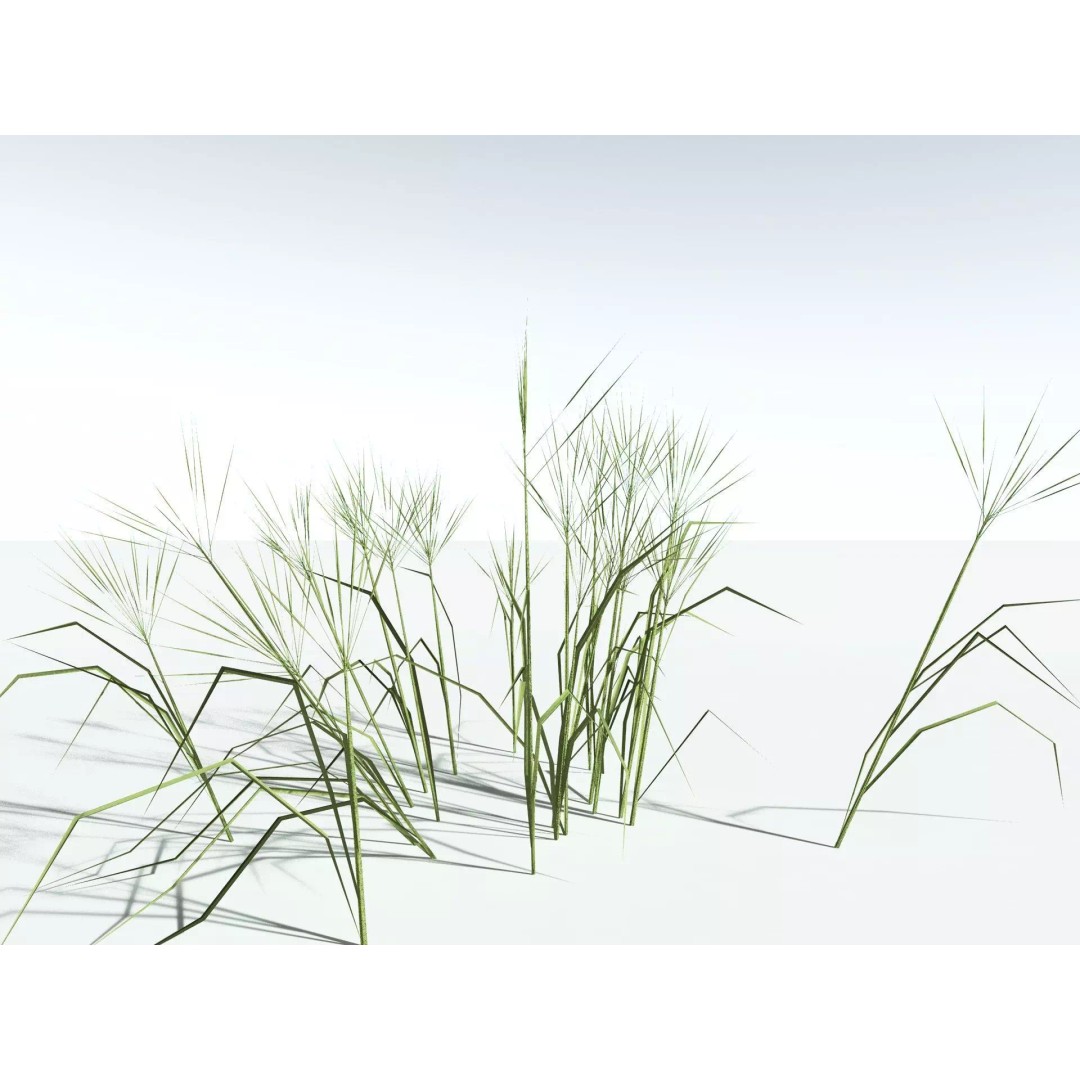 Downy Brome 3D Model – Low Poly Grass Asset, FBX & PBR Textures - View 29