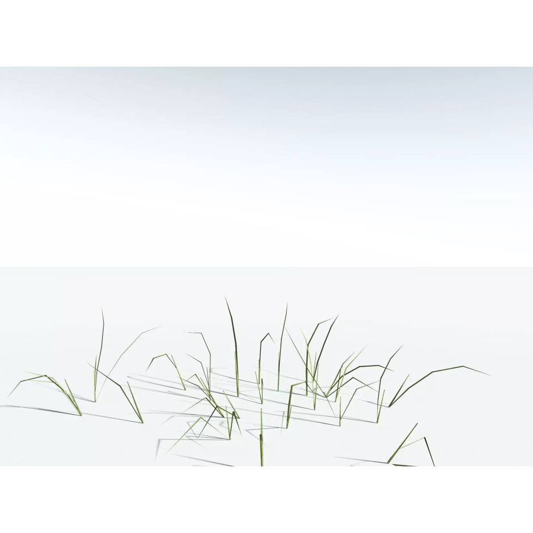 Downy Brome 3D Model – Low Poly Grass Asset, FBX & PBR Textures - View 31
