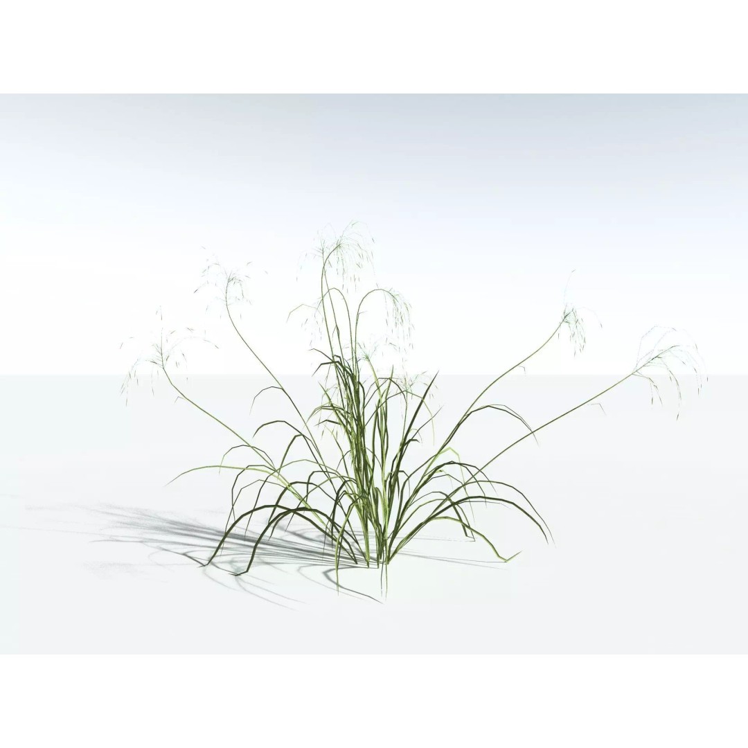Downy Brome 3D Model – Low Poly Grass Asset, FBX & PBR Textures - View 34