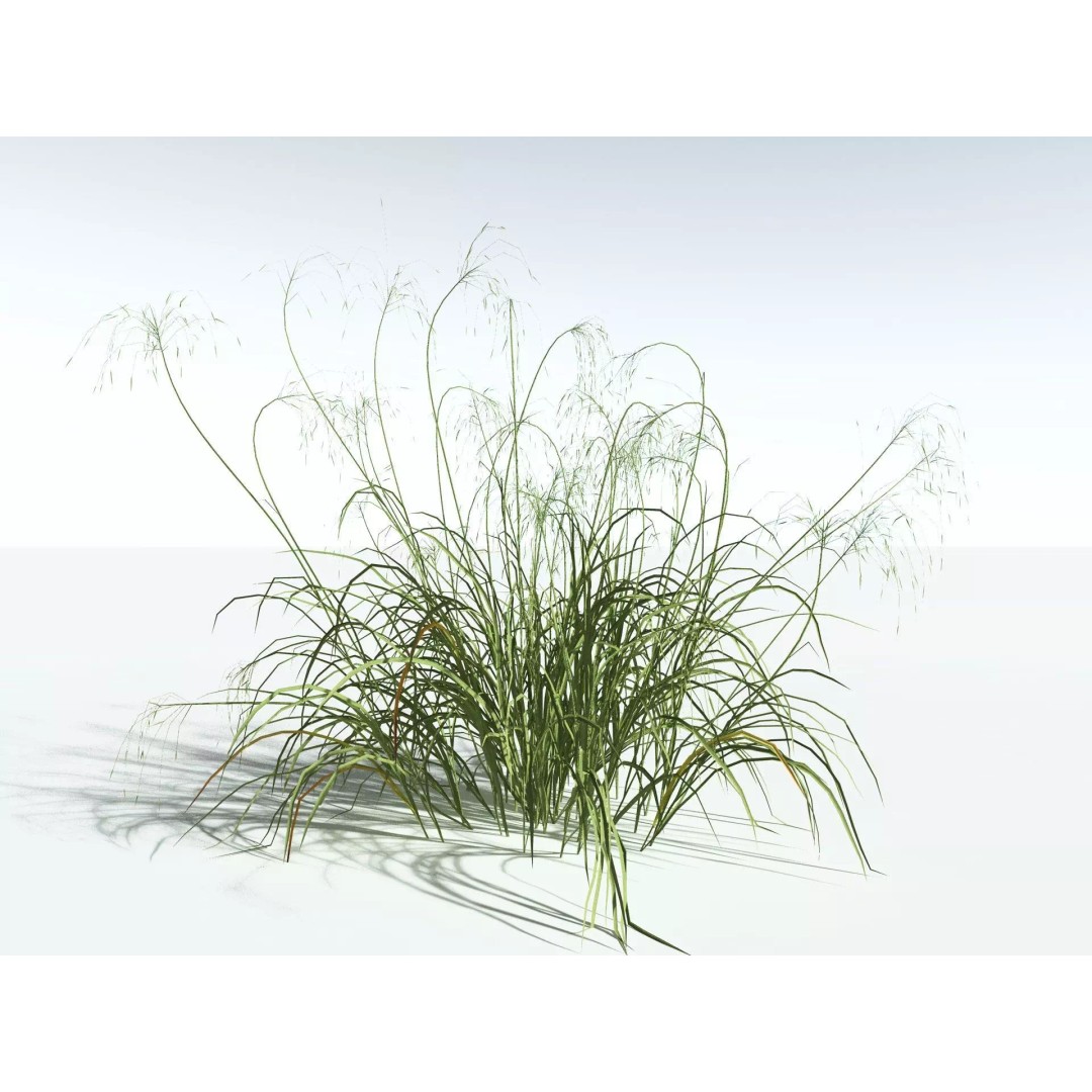 Downy Brome 3D Model – Low Poly Grass Asset, FBX & PBR Textures - View 36