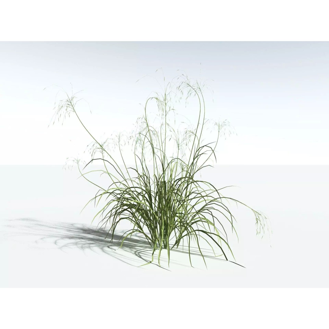 Downy Brome 3D Model – Low Poly Grass Asset, FBX & PBR Textures - View 6