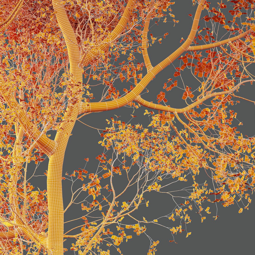 Shorea Robusta Sal 3D Model – High Poly Spring Trees, FBX, OBJ - View 9