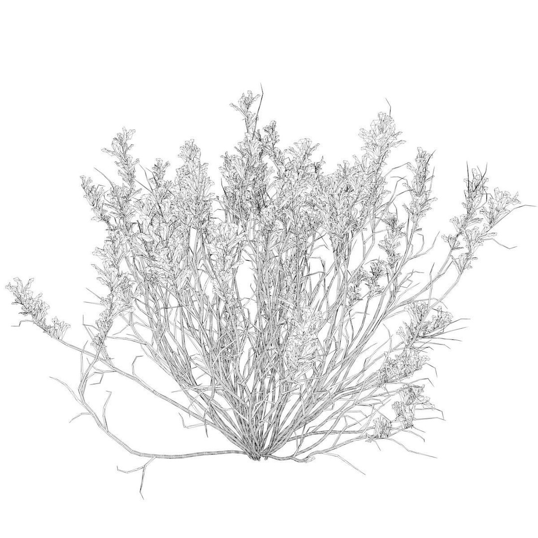 Broom Snakeweed 3D Model – Photorealistic Plant Asset, FBX - View 3